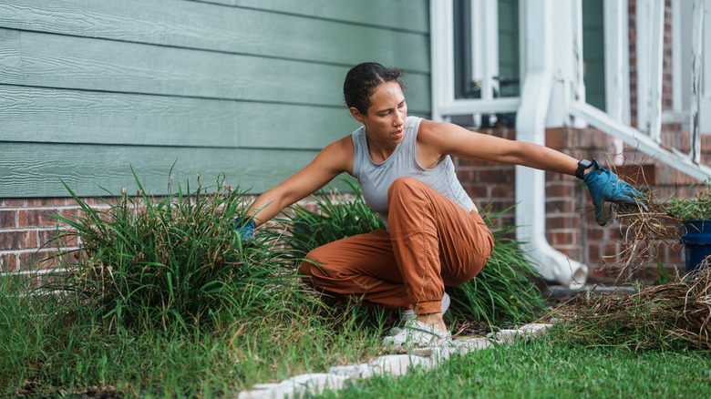Woman pulling weeds from the garden