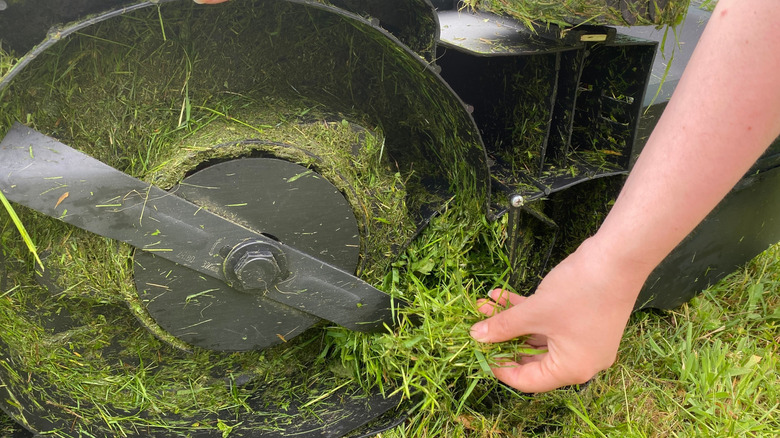 Woman cleaning stuck grass from lawn mower blade