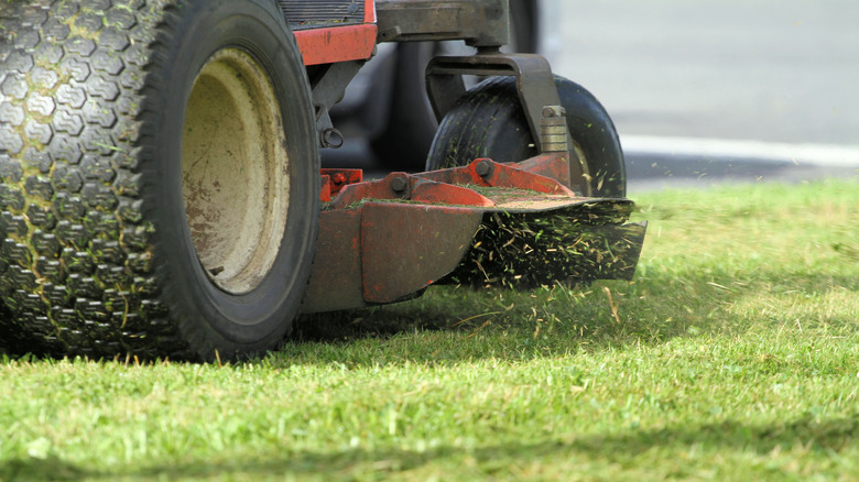 Close-up shot of a riding mowers discharge chute with focus on grass cuttings being ejected