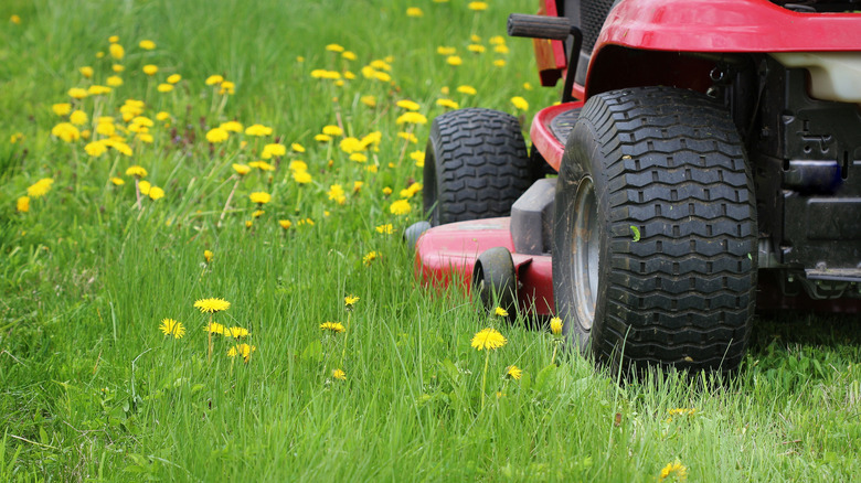 Gardener cutting the long grass on a tractor lawn mower