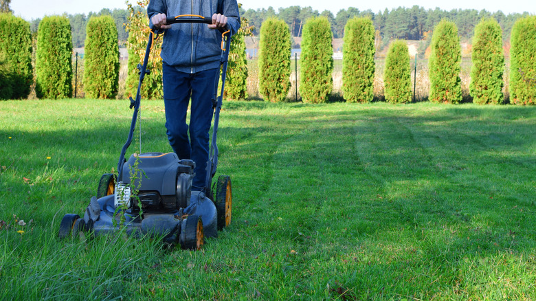 a man mowing lawn in several passes