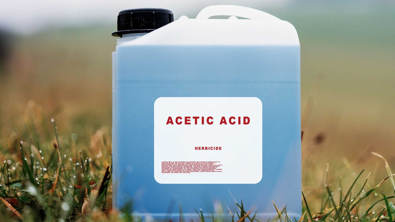 Bottle of acetic acid herbicide outdoors