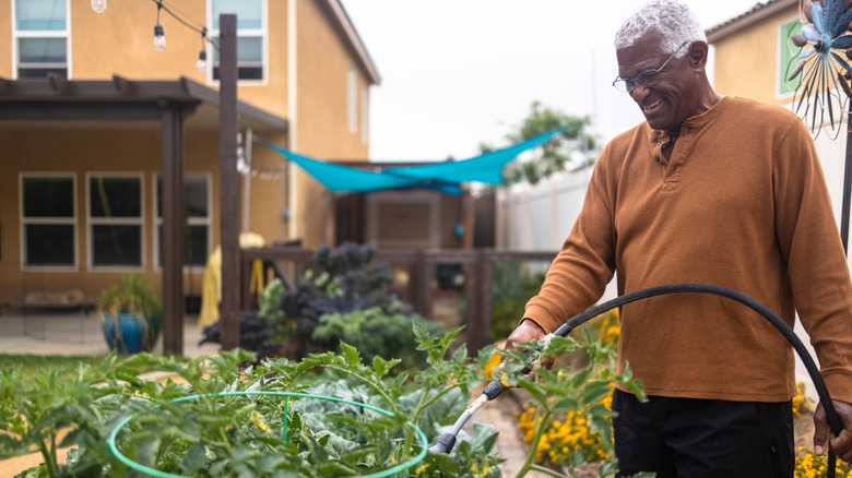 A man wearing an orange sweater watering his garden with a hose.