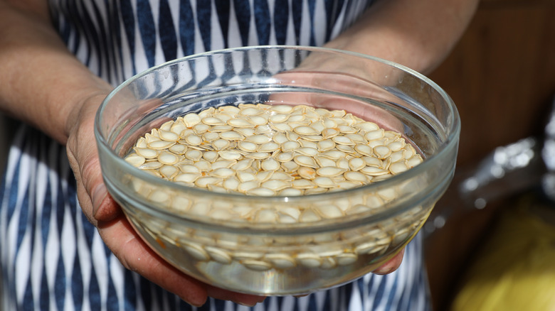 Woman holding bowl of soaking pumpkin seeds