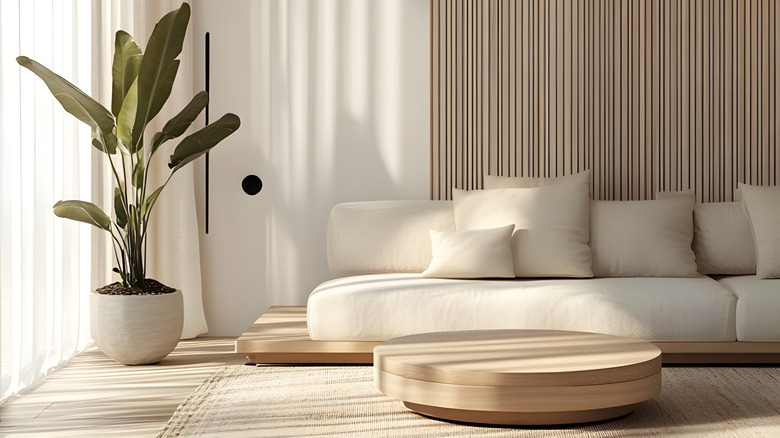 modern white couch in neutral room with large plant