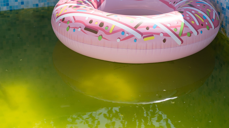 pool with green water and floaty