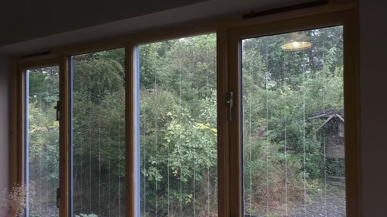 Large windows with white vertical lines