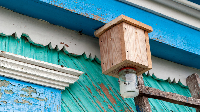 Carpenter bee trap mounted under the eave of a wood house