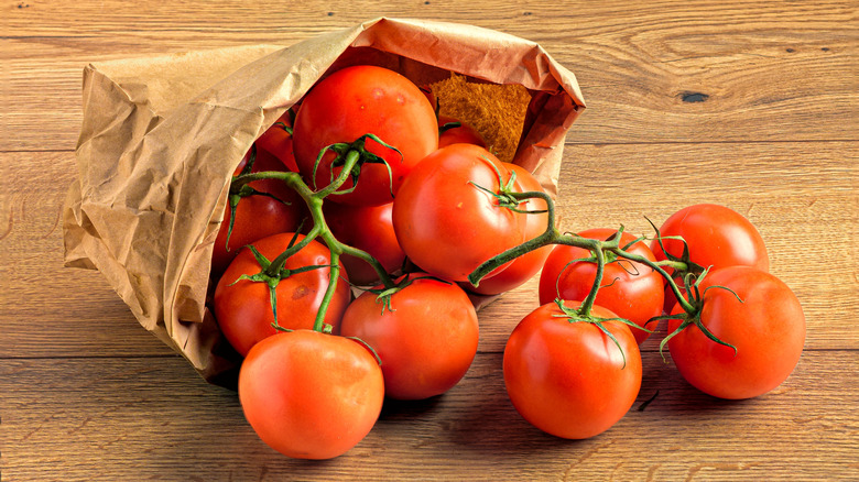 Freshly-picked tomatoes half-in, half-out of a paper bag