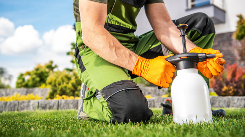 Man with a spray bottle on lawn