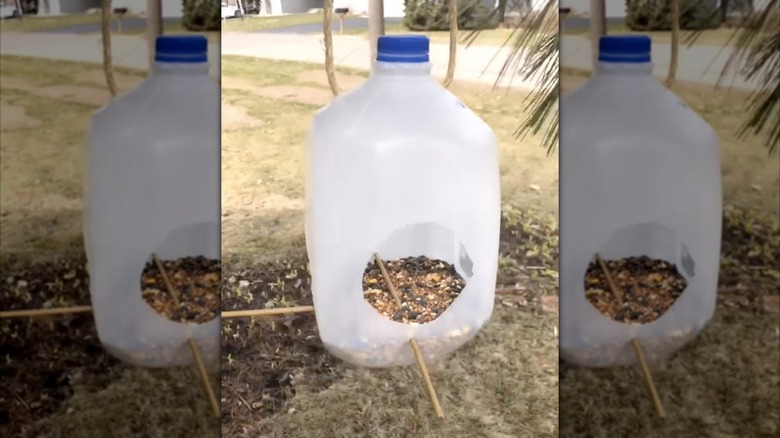 DIY milk jug bird feeder