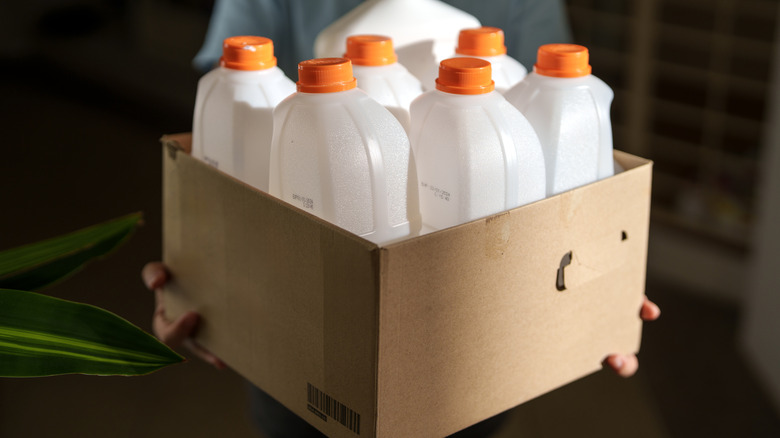 person holding empty milk jugs