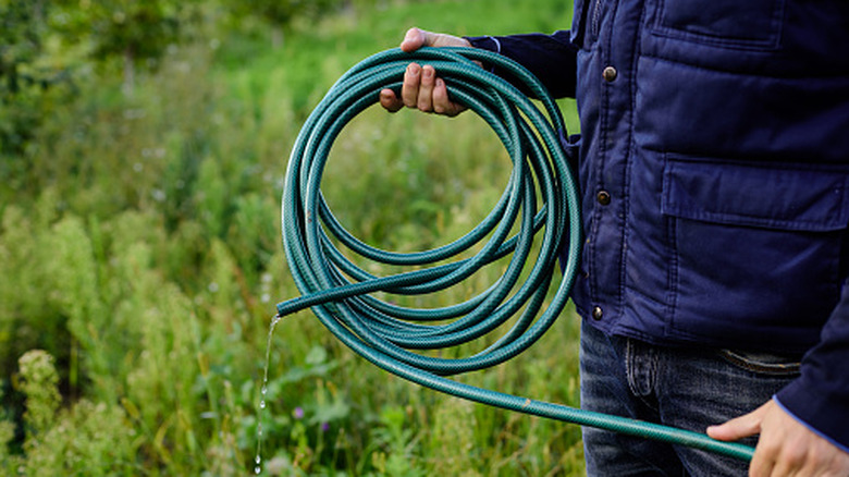 A man holds a green garden hose