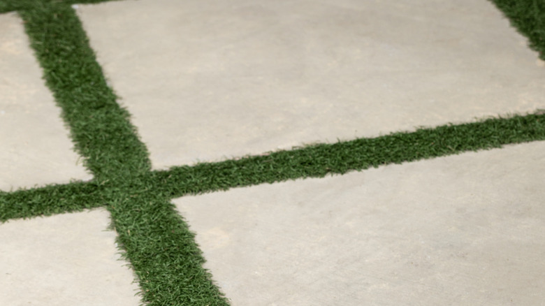 Pavers with turf in the gaps