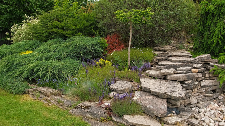 Garden with large decorative rocks