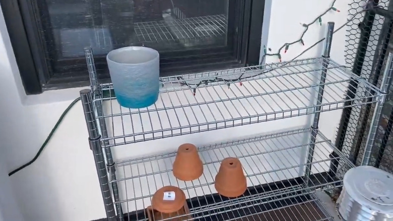 Nearly empty OMAR wire shelf in a garage or storage room.