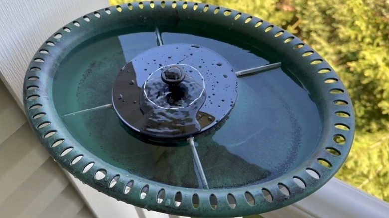 The fountain attachment inside the Vivihome Deck Mounted Bird Bath, with bubbling water.
