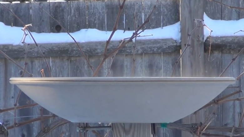 API's heated, deck-mounted bird bath in a snowy yard