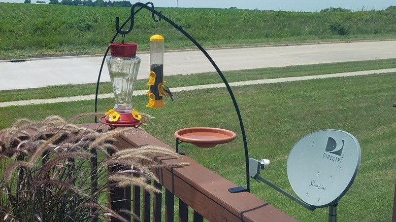 The small Audubon by Woodink bird bath sitting attached to a brown railing, flanked by bird feeders and a satellite dish.