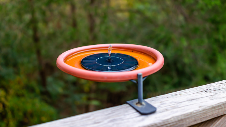 A plastic deck-mounted bird bath with a floating solar panel sitting on a wood deck rail.