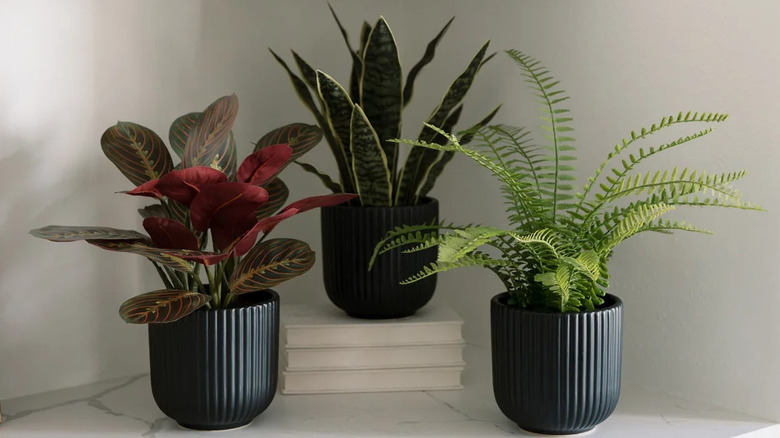 CGH faux decorative plant trio on a marble surface