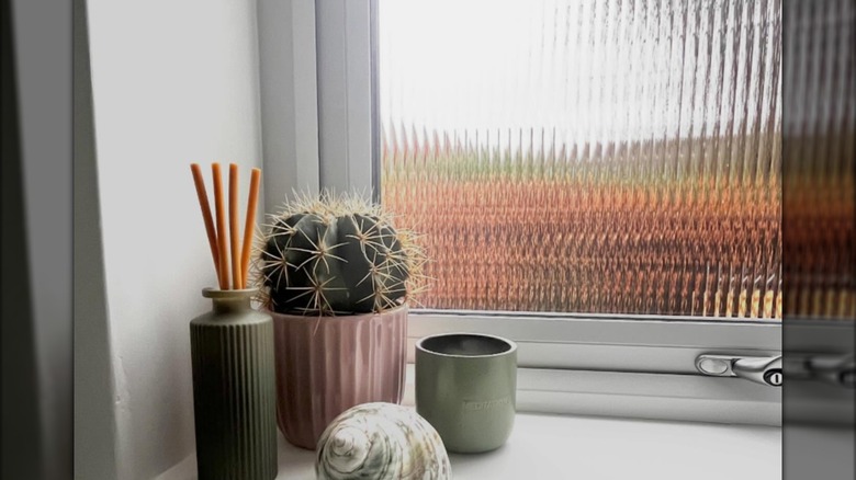 A window with reeded glass and an arrangement of cactus, shell, and diffusing reeds in front.