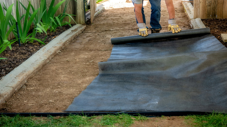 Man rolling out weed fabric on dirt walkway