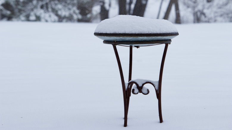 Metal bird bath filled with snow