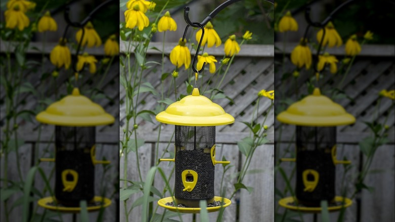 Yellow and black mesh bird feeder hanging on S-hook off metal pole above yellow flower garden