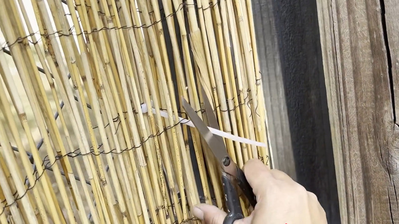 Hand hold scissors snipping zip tie connecting pale reed screen to chain-link fence