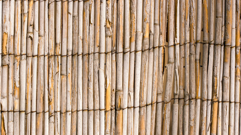 Sun-bleached reed fence starting to peel and deform from outdoor exposure