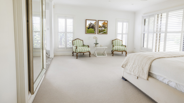 A carpeted master bedroom