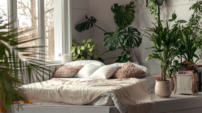 Boho bedroom with loads of houseplants