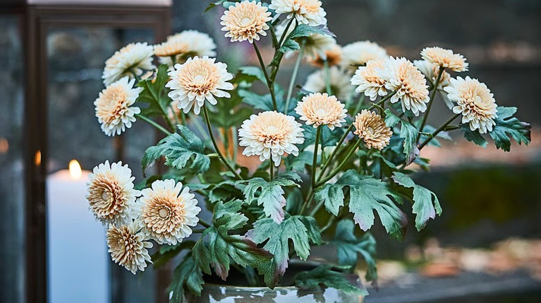 Artificial potted mums from IKEA.