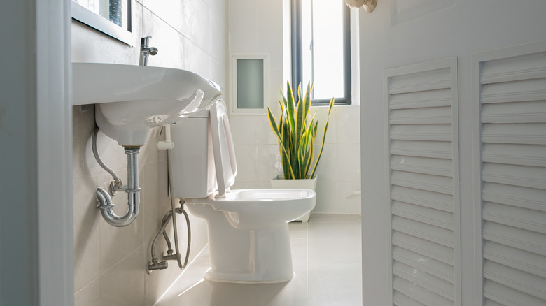 Sparkling clean area between wall and toilet base in modern bathroom