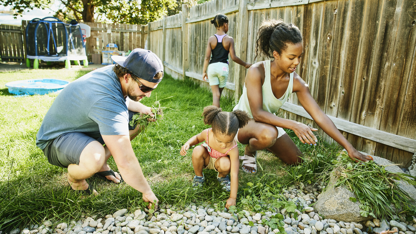 The Best Way To Get Rid Of Weeds In The Garden Without Killing Other Plants