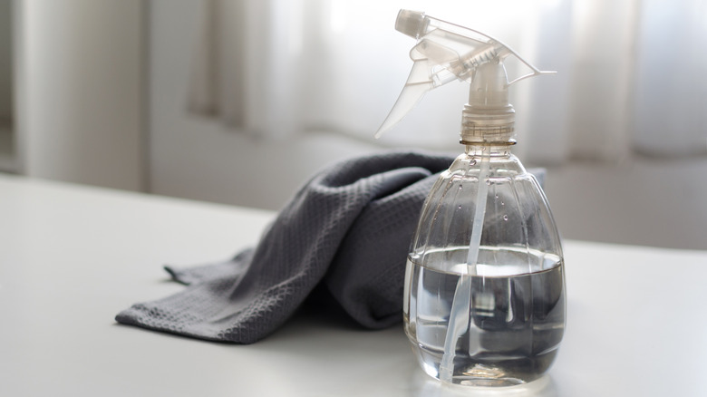 Spray bottle filled with white vinegar