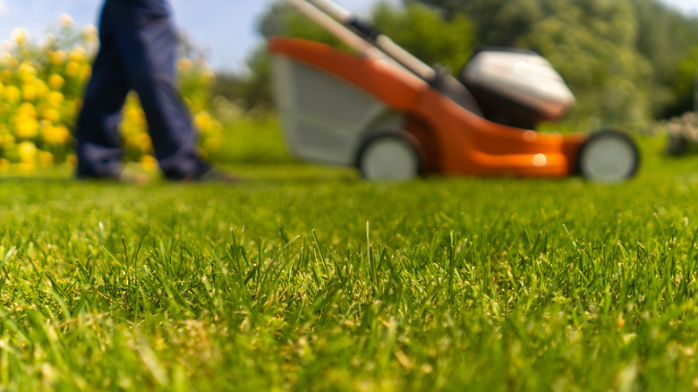 A person mows the lawn
