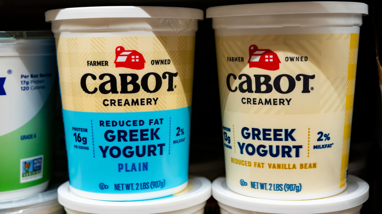 yogurt on display in a store