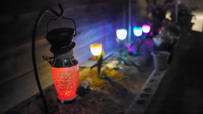 A variety of colored solar lights line a flowerbed