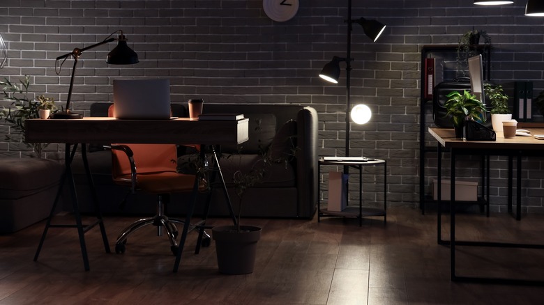 House plants in dark home office