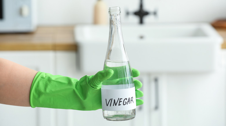 A green-gloved hand holding a glass of vinegar