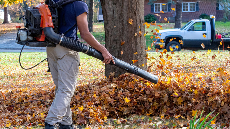 A worker with a large leaf blower gathers leafs into large piles for easy removal