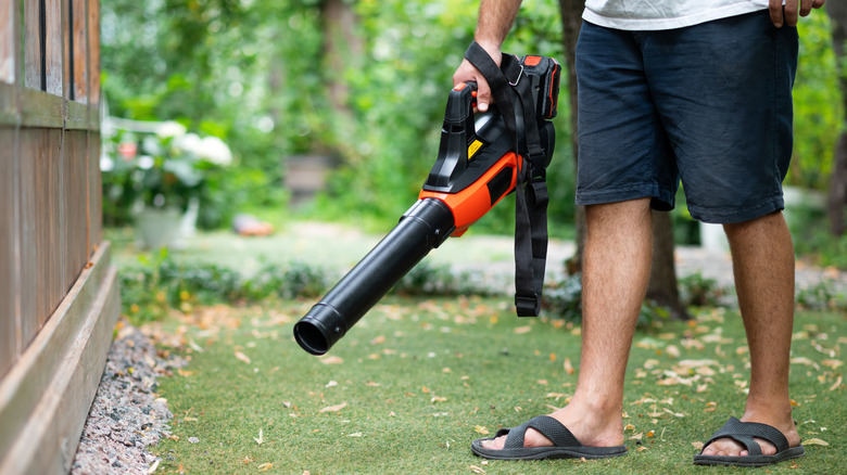 cordless, lightweight electric leaf blower