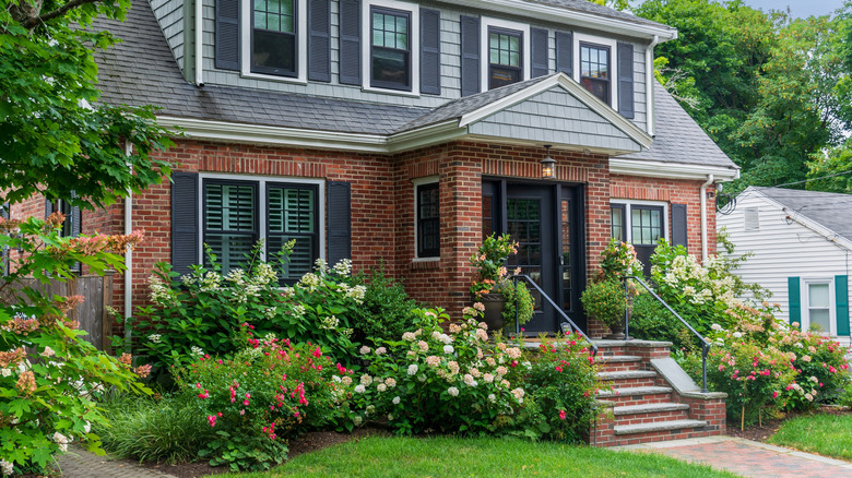 Mature foundation plantings in front of a brick home