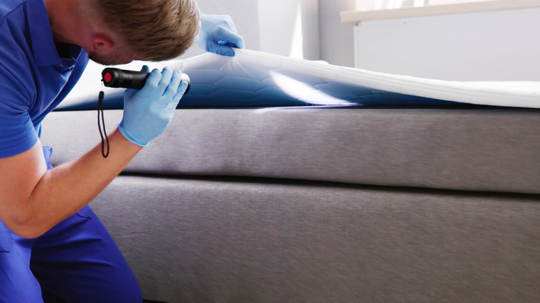 An exterminator looking for bed bugs.