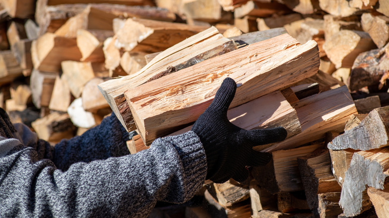 Hands carrying firewood