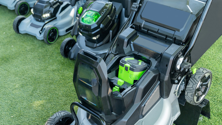 Battery-powered electric lawn mowers lined up for display.