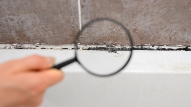 Examining mold in a bathroom with a magnifying glass
