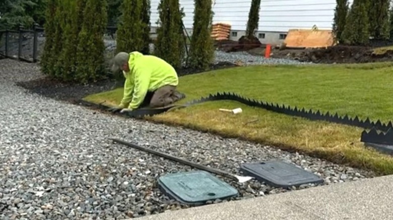 Man installing pound-in edging along a driveway